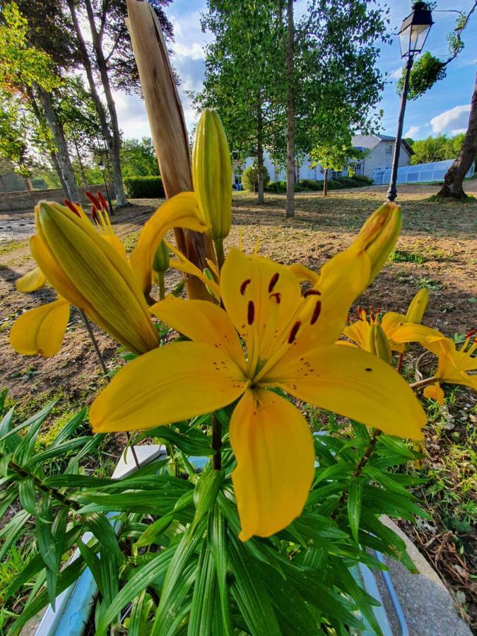Chateau De Chazelpaud Saint-Bard エクステリア 写真